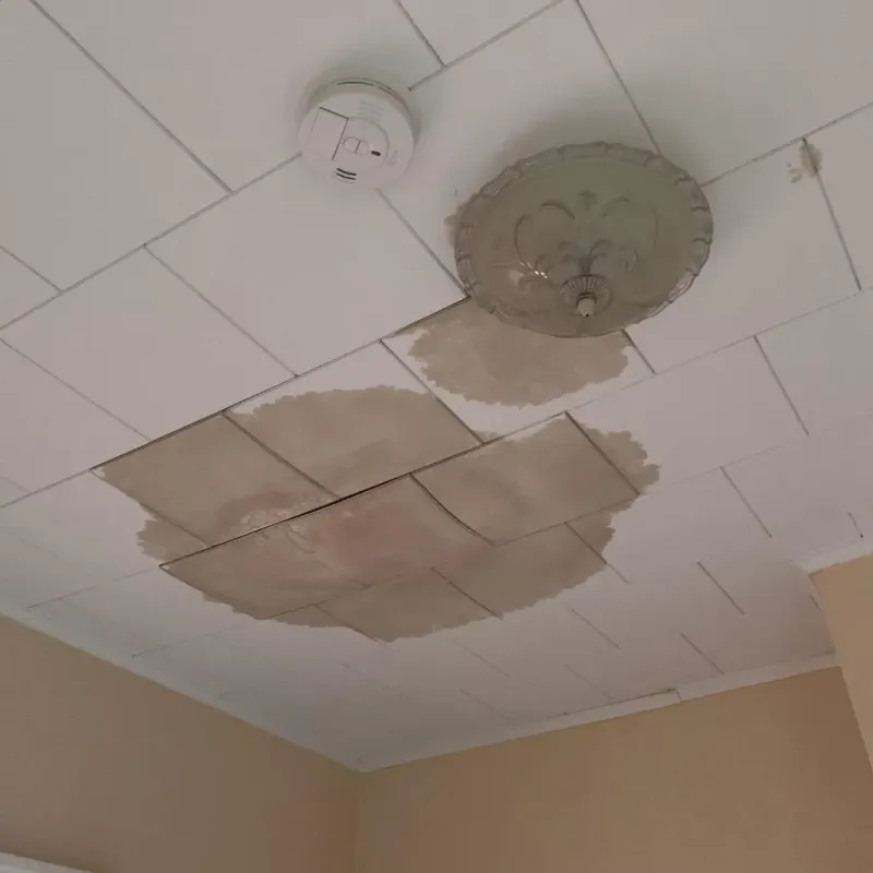 Ceiling Water Damage Repair in Inez, TX