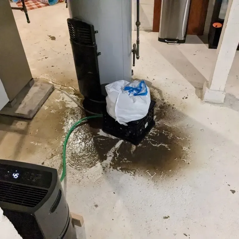 Sewage Backup Cleanup Service in Inez, TX